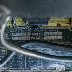 _DSC4402_original