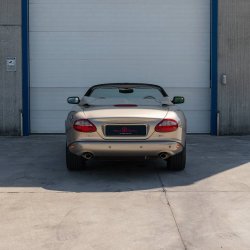 _DSC1384_original